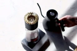 Fellow Stagg Paper Filters Accessories