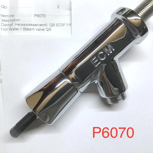 Parts & Repair ECM Steam And Hot Water Assembly 4 Parts & Repair ECM Steam And Hot Water Assembly